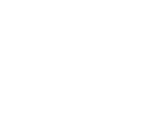 Dent Medic