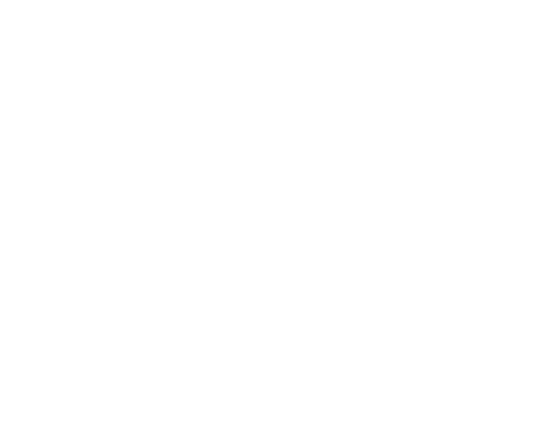 Opticargo
